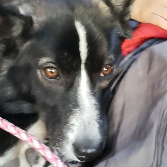 Meet your Posher, Adam - Picture 1 of 1